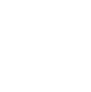 BerryLap logo